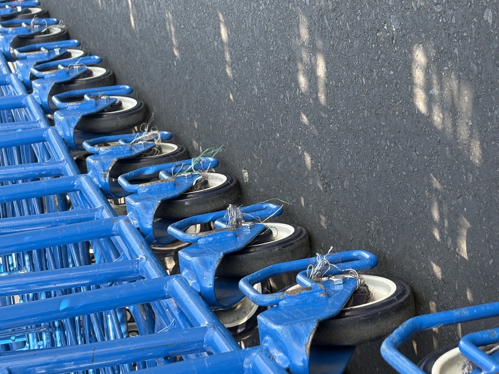 Cleaned fleet of shopping carts